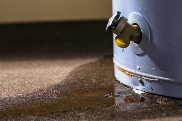 Best Carpet water damage restoration  in Port Royal, SC
