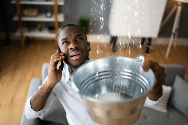 Best Professional water damage repair  in Port Royal, SC