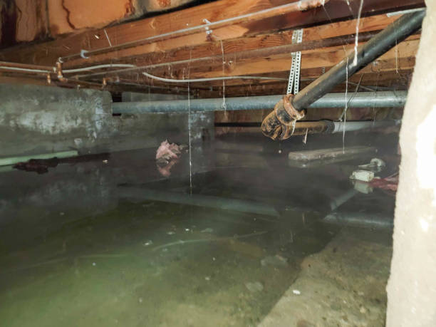  Port Royal, SC Water damage restoration Pros
