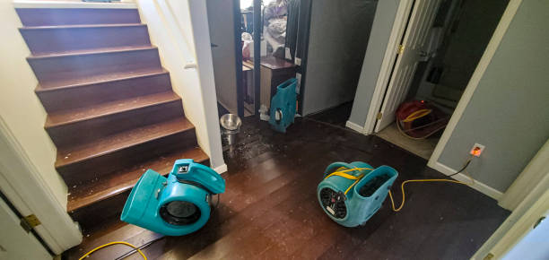 Best Water damage restoration near me  in Port Royal, SC