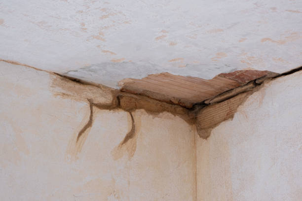 Best Water damage cleanup near me  in Port Royal, SC
