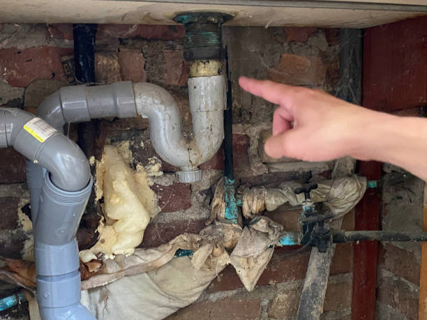 Best Mold removal after water damage  in Port Royal, SC
