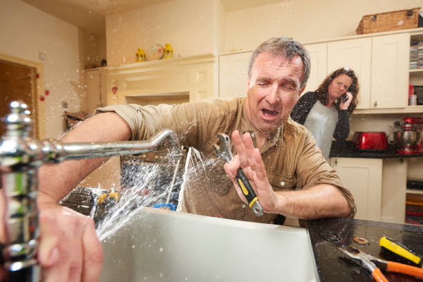 Best Sewage cleanup and water damage restoration  in Port Royal, SC